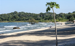 Der Malawisee ist der neuntgrößte See der Erde