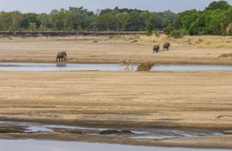 der Luangwa River in der Trockenzeit